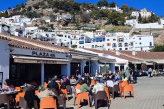 IMG_20230228_150731-scaled