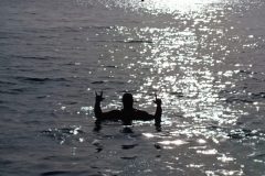 filter: 0; fileterIntensity: 0.0; filterMask: 0; captureOrientation: 90; module: photo; hw-remosaic: false; touch: (-1.0, -1.0); modeInfo: ; sceneMode: 32768; cct_value: 5666; AI_Scene: (2, 0); aec_lux: 169.0; aec_lux_index: 0; hist255: 0.0; hist252~255: 0.0; hist0~15: 0.0; albedo:  ; confidence:  ; motionLevel: 0; weatherinfo: null; temperature: 40;