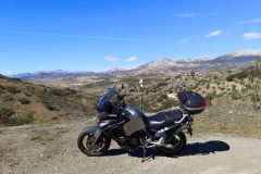 IMG_20231021_134802_Burst01-scaled