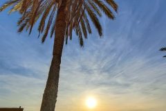 filter: 0; fileterIntensity: 0.0; filterMask: 0; captureOrientation: 90; module: photo; hw-remosaic: false; touch: (-1.0, -1.0); modeInfo: HDR ; sceneMode: 2; cct_value: 5416; AI_Scene: (2, 0); aec_lux: 134.0; aec_lux_index: 0; hist255: 0.0; hist252~255: 0.0; hist0~15: 0.0; albedo:  ; confidence:  ; motionLevel: 0; weatherinfo: null; temperature: 26;